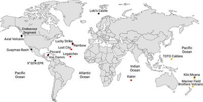 Formate and hydrogen in hydrothermal vents and their use by extremely thermophilic methanogens and heterotrophs